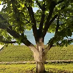 Rustic Heaven Ostrozac Jablanica