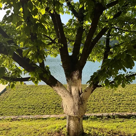 Rustic Heaven Ostrozac Jablanica